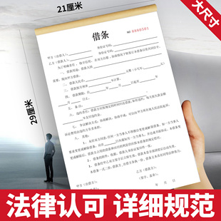 借款借条正规模板个人法律认可欠条本协议欠款单据起诉书客户货款