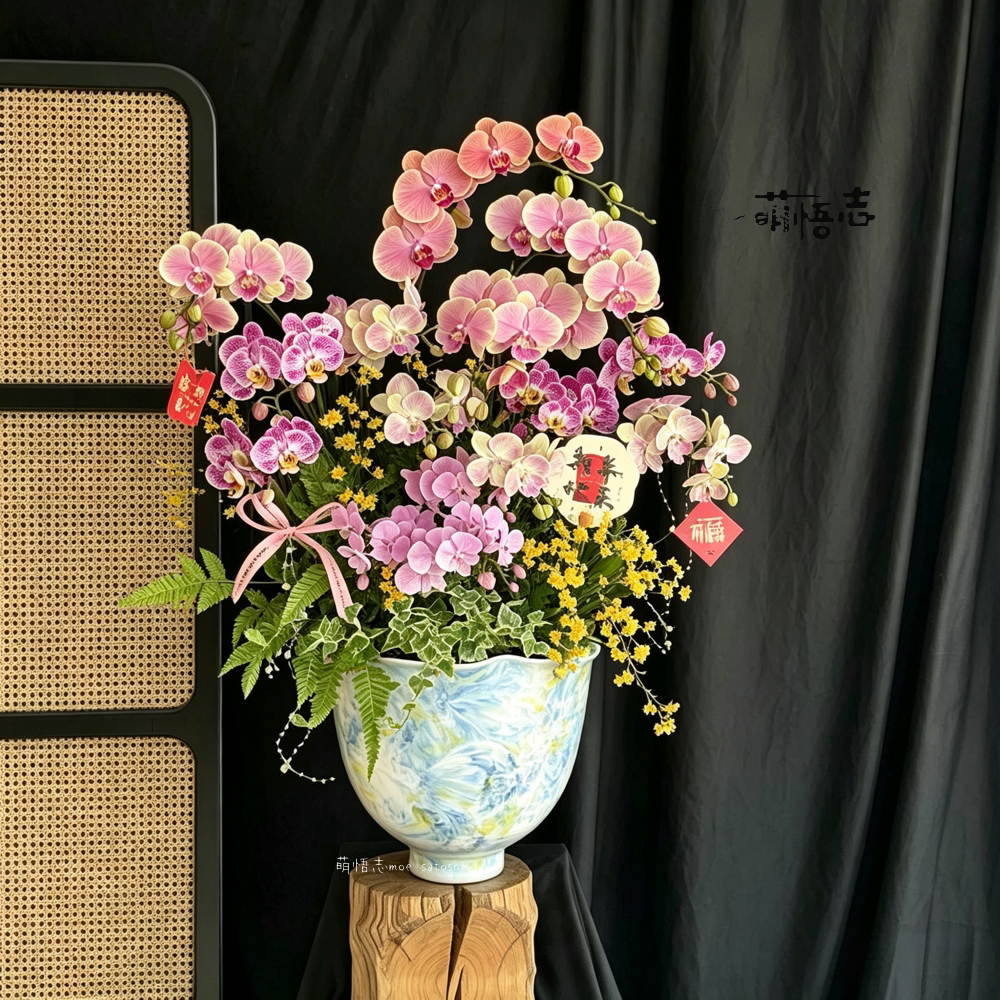特大号轻奢蝴蝶兰有孔花盆