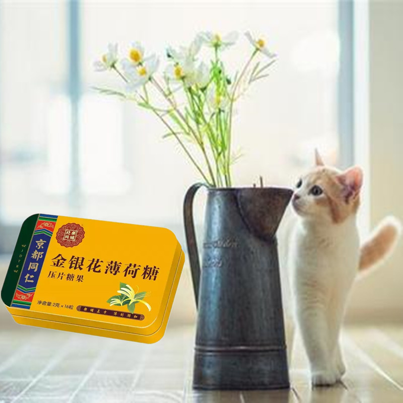京都同仁5盒金银花含片利咽晕车