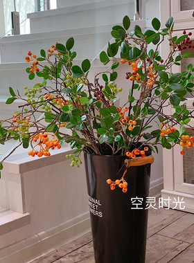 归来藤条婚庆拍摄道具仿真绿植