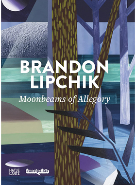 【特价清仓】英文原版 Brandon Lipchik 布兰登 利普奇 Hatje Cantz Verlag Amely Deiss 绘画装置作品鉴赏艺术书籍