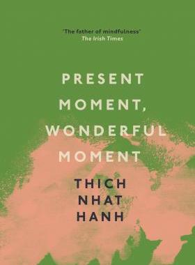 【特价清仓】英文原版 Present Moment  Wonderful Moment当下精彩瞬间 Thich Nhat Hanh 一行禅师心灵疗愈经典文学书籍