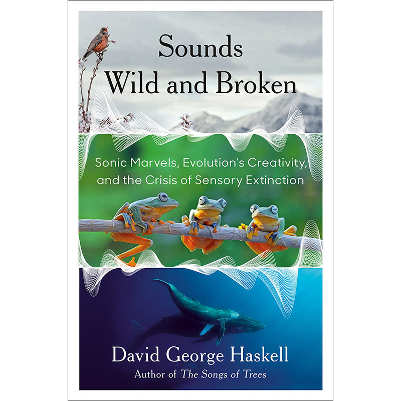 【预售】英文原版Sounds Wild And Broken听起来狂野又破碎David George Haskell声波奇迹进化的创造力和感官灭绝危机自然科学书籍 书籍/杂志/报纸 科学技术类原版书 原图主图