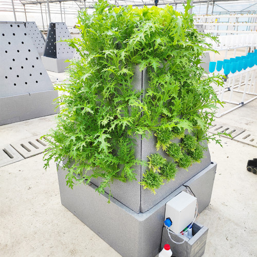 无土栽培雾培种植塔水培垂直系统设备阳台学校种菜农耕立体种菜机