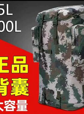 背囊100L行李旅行背包大容量户外徒步旅游行山野营登山包双肩男女