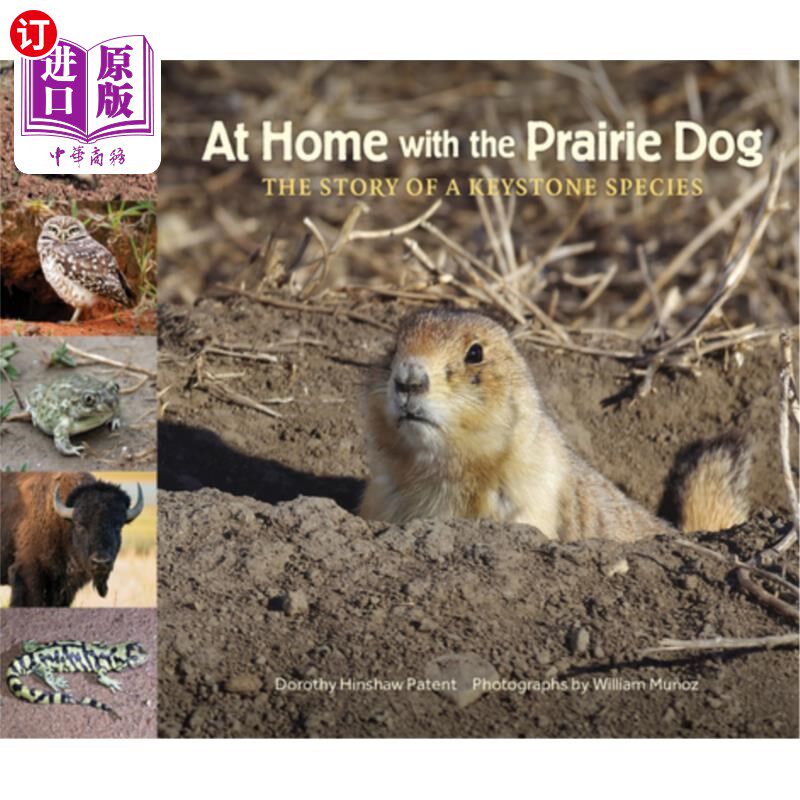 海外直订At Home with the Prairie Dog: The Story of a Keystone Species 《草原土拨鼠之家:一个关键物种的故事》