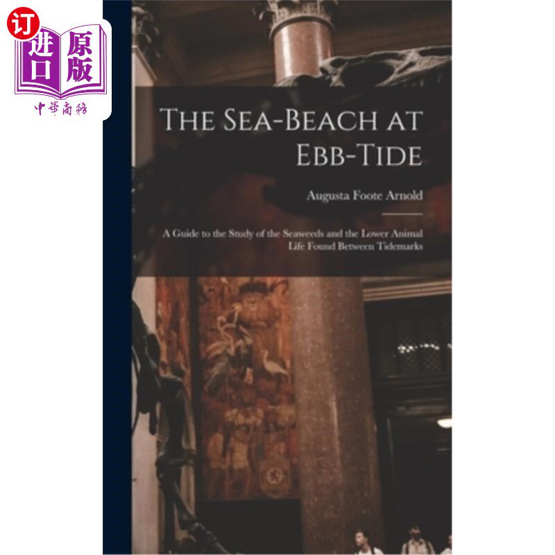 海外直订The Sea-beach at Ebb-tide: A Guide to the Study of the Seaweeds and the Lower An 退潮时的海滩:在潮点之间发