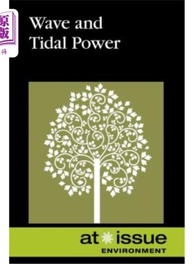 海外直订Wave and Tidal Power 波浪和潮汐能