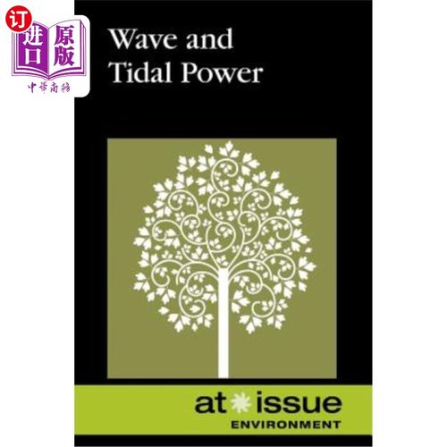 海外直订Wave and Tidal Power 波浪和潮汐能