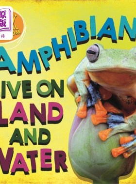 海外直订In the Animal Kingdom: Amphibians Live on Land a... 动物王国:两栖动物生活在陆地和水中