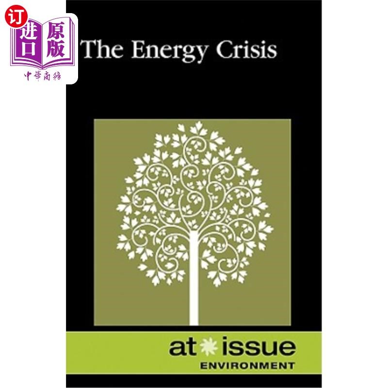海外直订AI: The Energy Crisis -P AI:能源危机-P