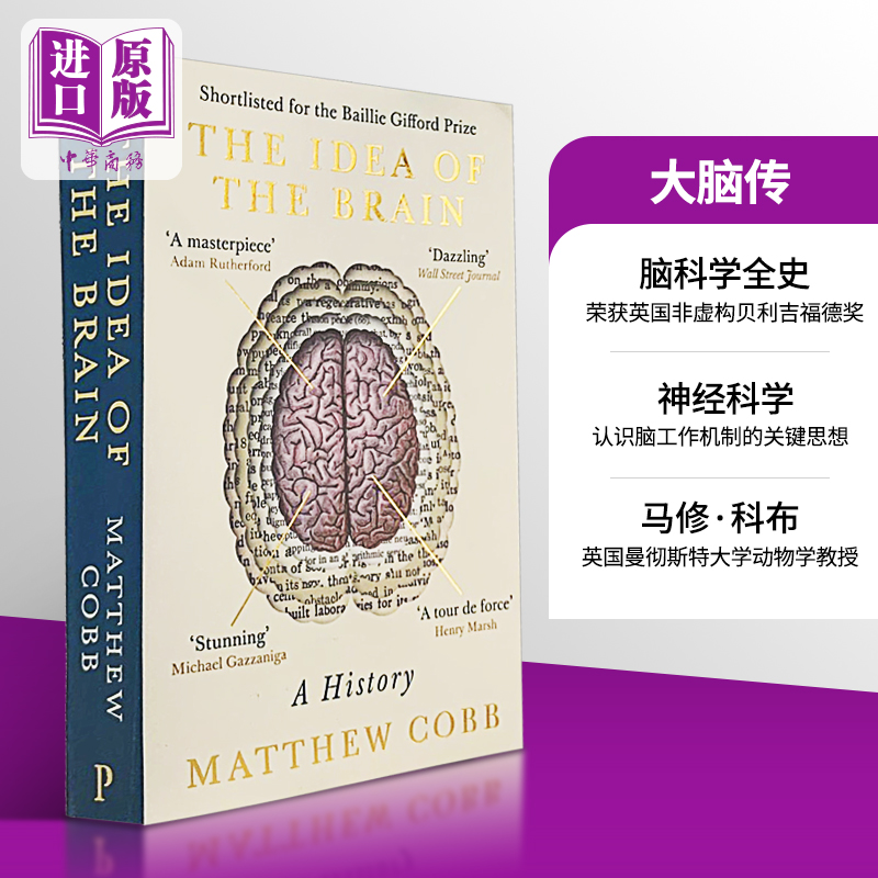 预售马修科布大脑传大脑的想法