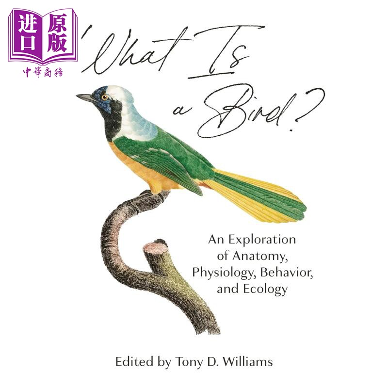 预售 什么是鸟 解剖学 生理学 行为学和生态学的探索 What Is a Bird 英文原版 Tony D Williams 科普读物【中商原版】