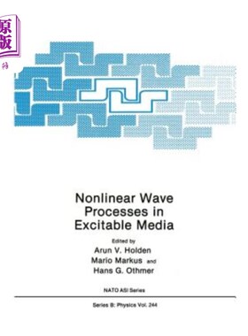 海外直订Nonlinear Wave Processes in Excitable Media 可激发介质中的非线性波动过程