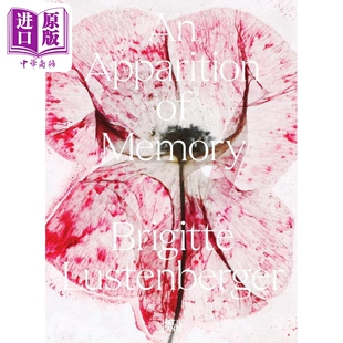 Brigitte Lustenberger An Apparition Of Memory 进口艺术 布里吉特 卢斯滕贝格尔 记忆的显现【中商原版】