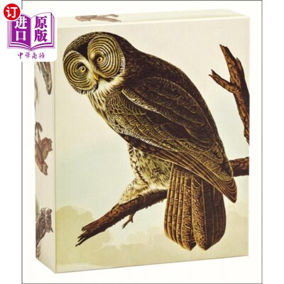 海外直订Audubon Owls QuickNotes 奥杜邦猫头鹰速递