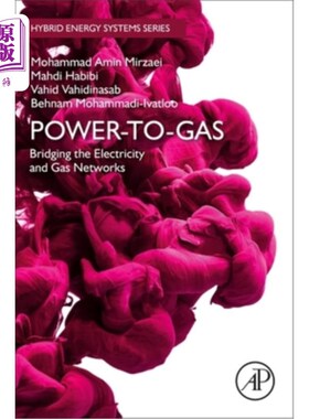 海外直订Power-To-Gas: Bridging the Electricity and Gas Networks 电力到天然气:连接电力和天然气