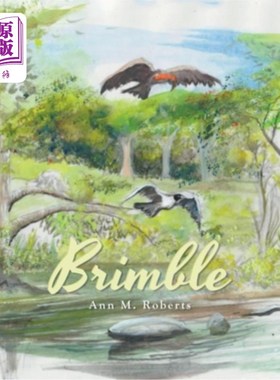海外直订Brimble 窦蹄