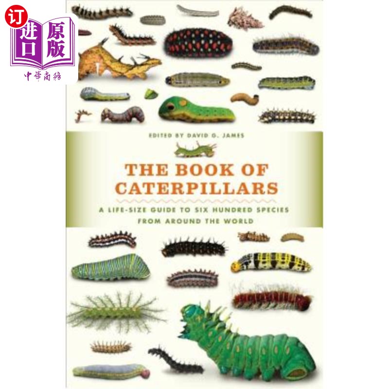 海外直订The Book of Caterpillars: A Life-Size Guide to Six Hundred Species from Around t 毛毛虫之书：来自世界各地的