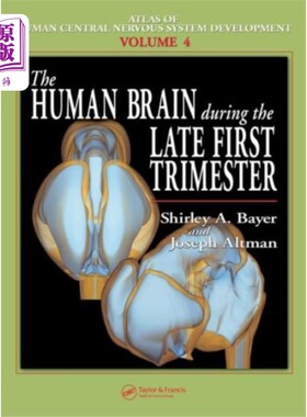 海外直订医药图书Human Brain During the Late First Trimester 人类大脑在孕早期晚期