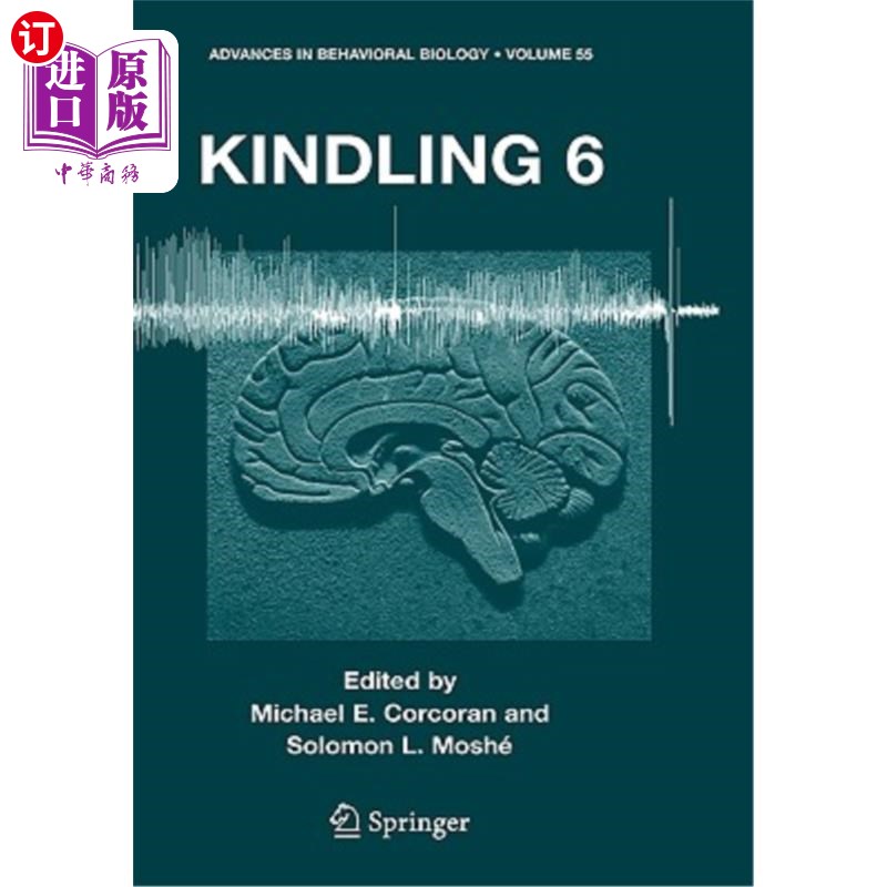 海外直订医药图书Kindling 6 火种6