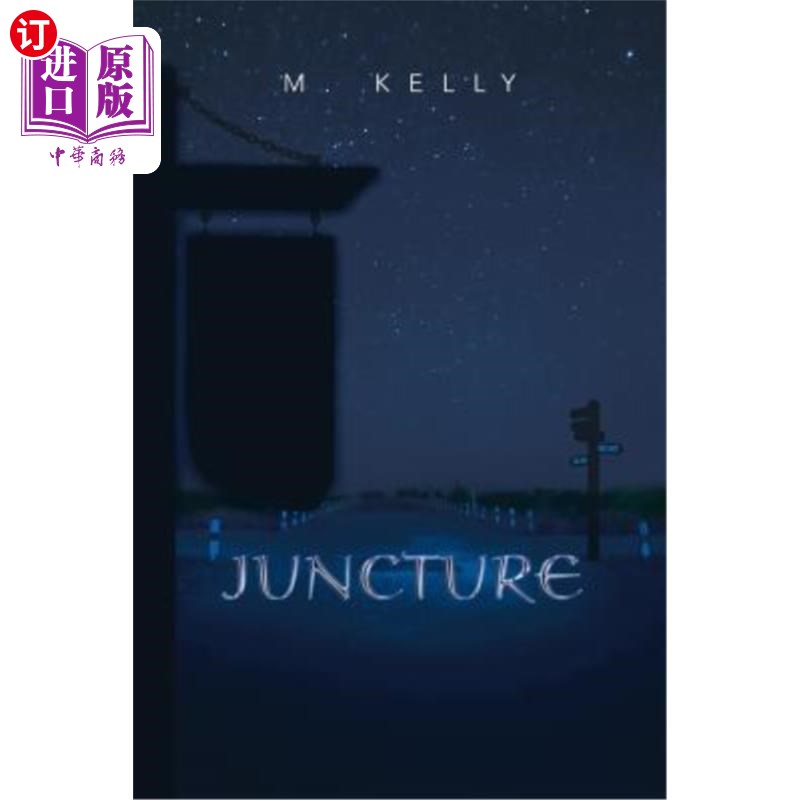 海外直订juncture 关键时刻