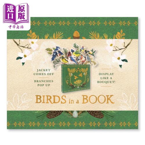小鸟之书立体书 Birds in a Book 英文原版 Rachel Grant 生活休闲 童书【中商原版】