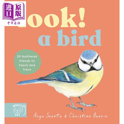 看！一只鸟！Look!ABird!