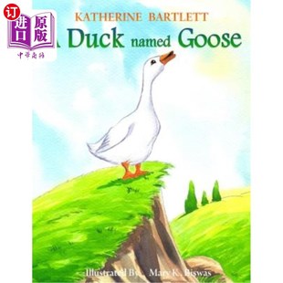 一只叫鹅 海外直订A Goose Named 鸭子 Duck