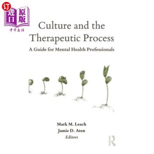 海外直订医药图书Culture and the Therapeutic Process: A Guide for Mental Health Professionals 文化与治疗过程:精神卫