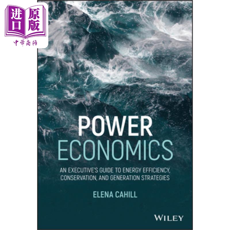 现货电力经济学能源效率节约与发电策略的执行指南 Power Economics英文原版 Elena Cahill中商原版