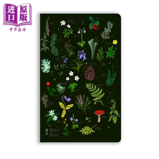 预售 安娜 斯特德 森林地表 软面手帐 英文原版 Anna Stead The Forest Floor Soft Touch Journal Flame Tree【中商原版】