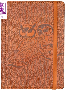 预售 猫头鹰匠制日记 英文原版 Owls Artisan Journal Diary Notebook Peter Pauper Press Inc【中商原版】