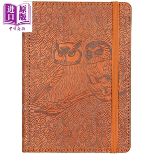 预售 猫头鹰匠制日记 英文原版 Owls Artisan Journal Diary Notebook Peter Pauper Press Inc【中商原版】