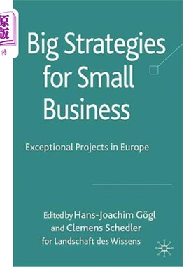 海外直订Big Strategies for Small Business: Exceptional Projects in Europe 小企业的大战略：欧洲的杰出项目