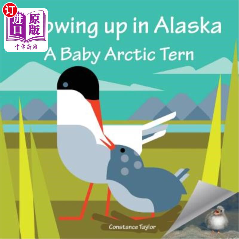 海外直订Growing up in Alaska: A Baby Arctic Tern 在阿拉斯加长大的北极燕鸥宝宝