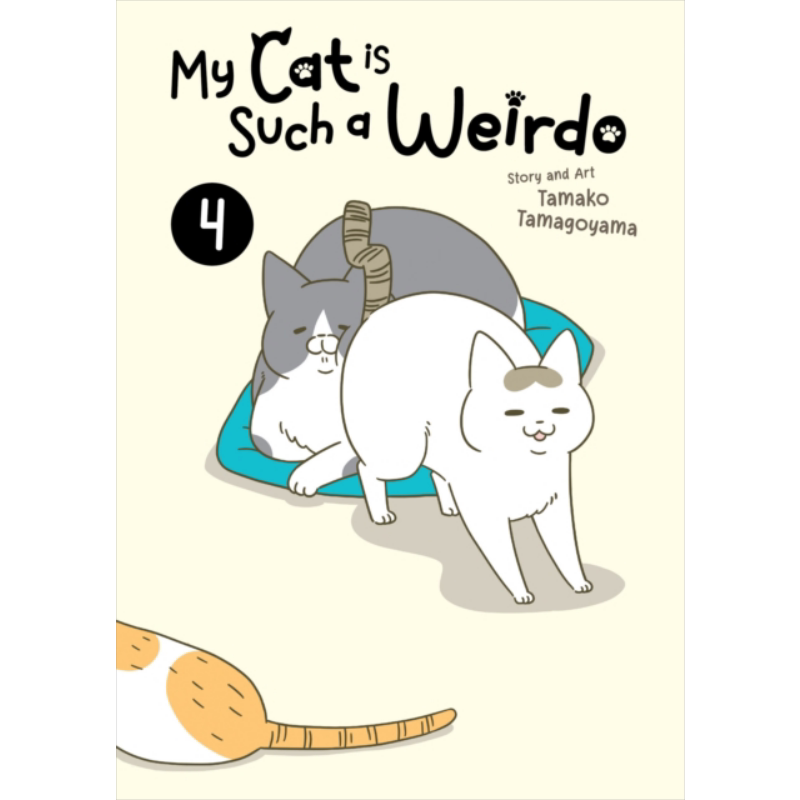 我家的猫又在做奇怪的事了4