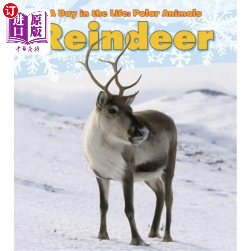 海外直订reindeer 驯鹿