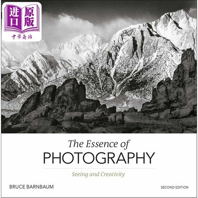 现货 Essence of Photography 进口艺术 摄影精髓，第二版：视觉与创造力【中商原版】