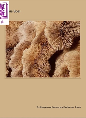 预售 Chris Soal: To Sharpen Our Senses and Soften Our Touch 进口艺术 克里斯索尔：唤醒感官 柔化触感【中商原版】