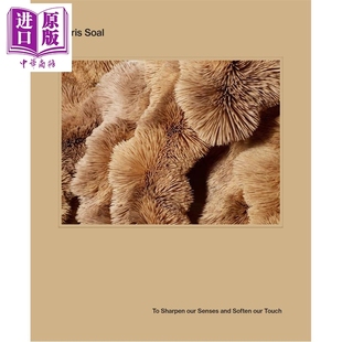 预售 Chris Soal: To Sharpen Our Senses and Soften Our Touch 进口艺术 克里斯索尔：唤醒感官 柔化触感【中商原版】