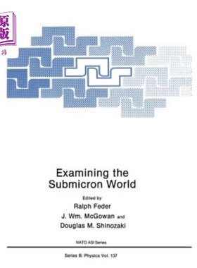 海外直订Examining the Submicron World 审视亚微米世界