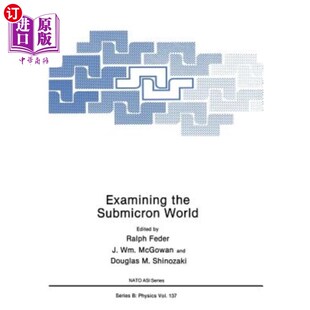 World Submicron 审视亚微米世界 the 海外直订Examining
