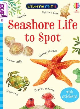 现货 Seashore Life to Spot 海边的发现 尤斯伯恩迷你书系列 Usborne Minis 儿童绘本知识图画书 英文原版进口童书【中商原版】