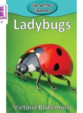 海外直订Ladybugs 瓢虫