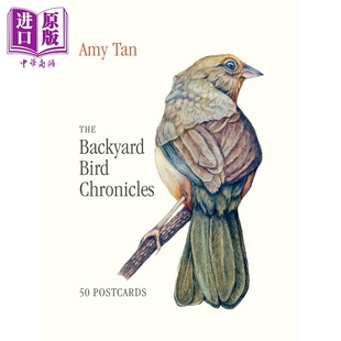 英文原版 中商原版 后院鸟类志 50张彩绘明信片 Postcards Backyard The Tan 谭恩美 Bird Amy Chronicles