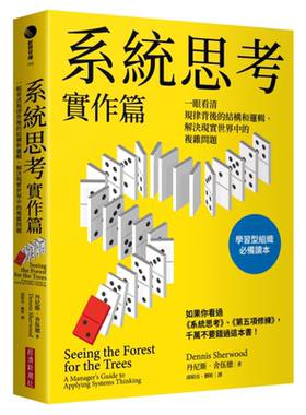 系统思考实作篇 一眼看清规律背后的结构和逻辑 解决现实世界中的复杂问题 台版 丹尼斯舍伍德 经济新潮社【中商原版】