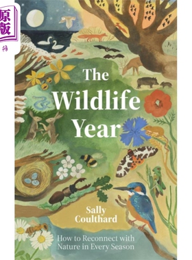 莎莉库尔撒德 野生动物年 如何在四季中与大自然重新建立联系 英文原版 Wildlife Year Sally Coulthard【中商原版】