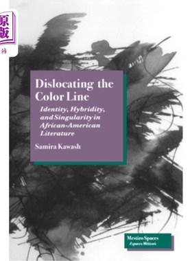 海外直订Dislocating the Color Line: Identity, Hybridity, and Singularity in African-Amer 色彩线的错位:非裔美国人叙