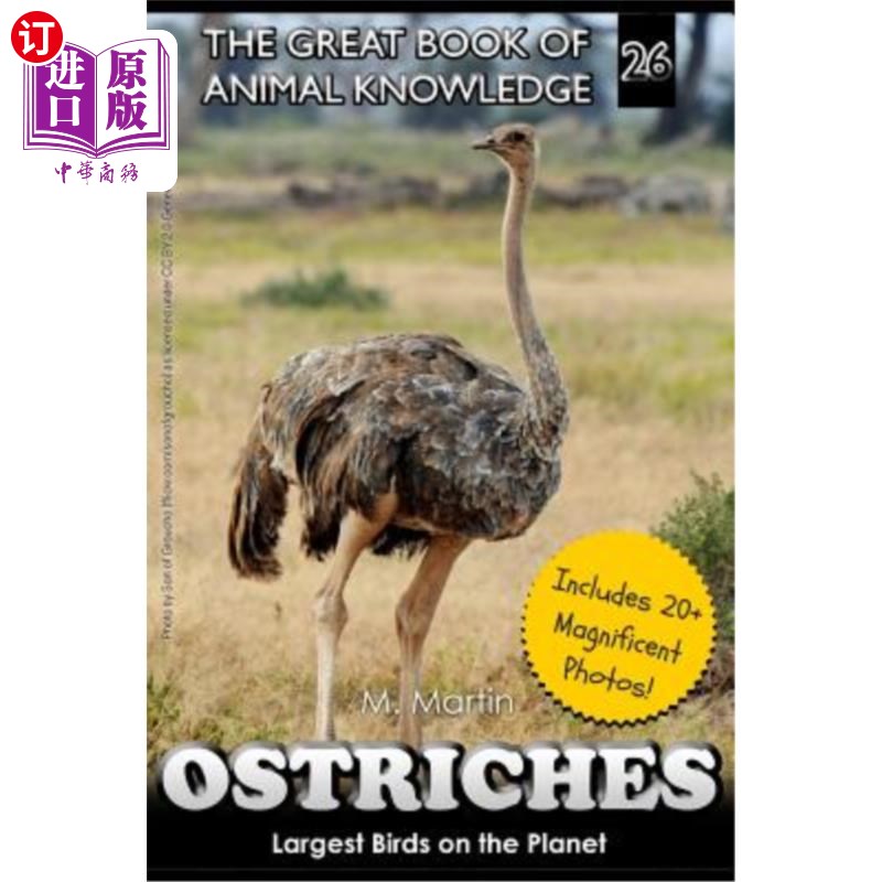 海外直订Ostriches: Largest Birds on the Planet 鸵鸟：地球上最大的鸟